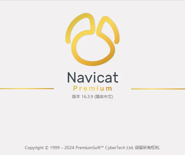 Navicat 16.3.9 专业版 绿色版 便携版 无需安装， 无需破解