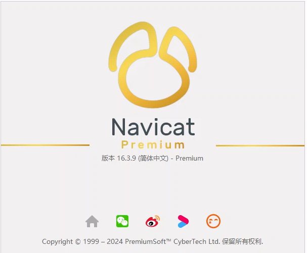 Navicat 16.3.9 专业版 绿色版 便携版 无需安装， 无需破解