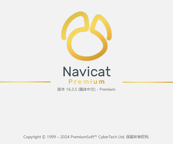 Navicat 16.3.5 专业版 绿色版 便携版 无需安装， 无需破解