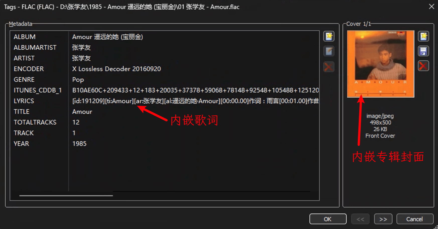 张学友无损全集网盘下载