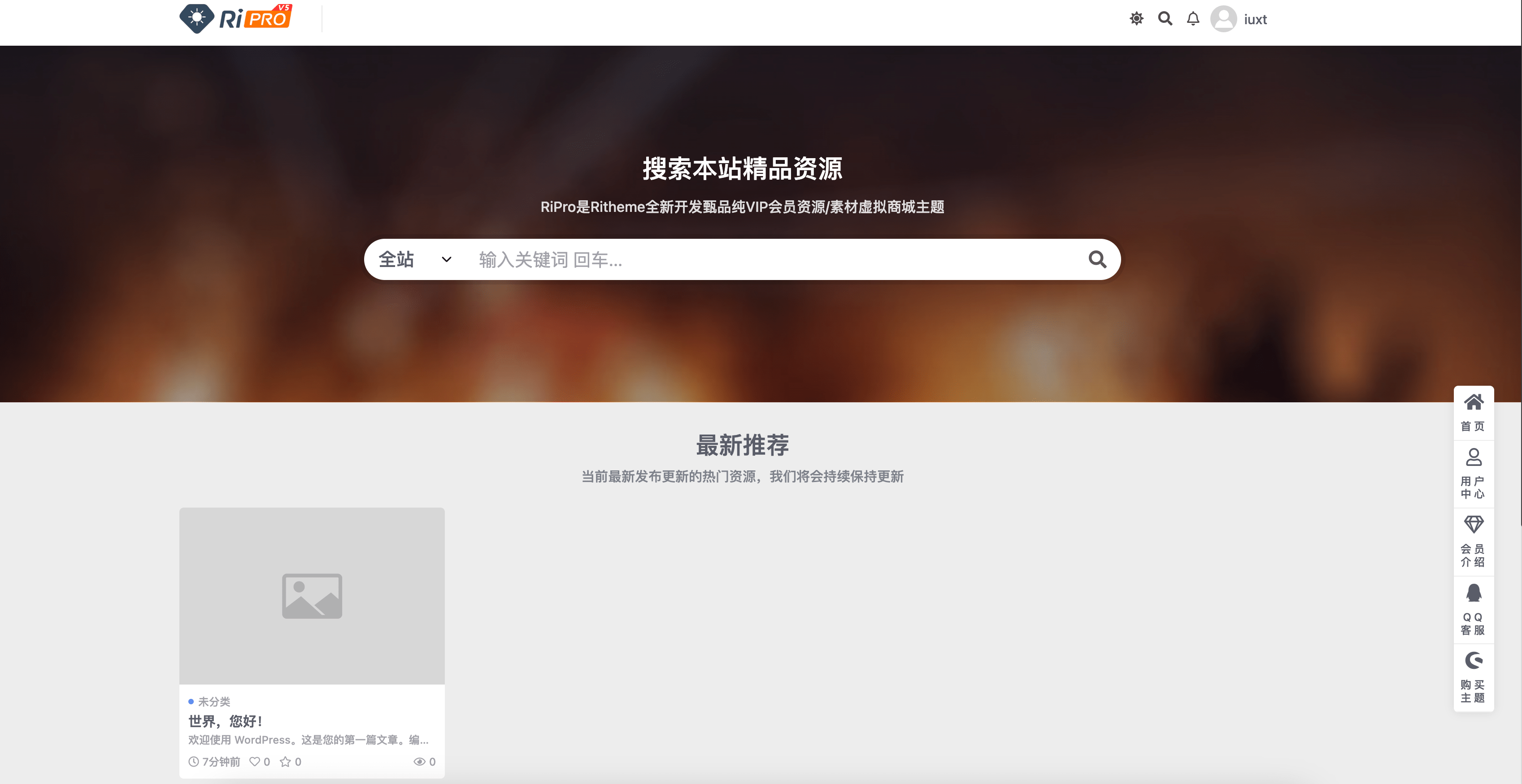 WordPress 主题 RiPro v5 7.1.3 激活版 附详细安装教程